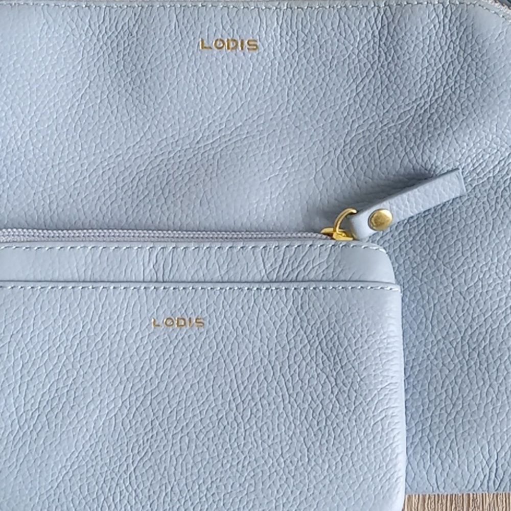 Louis Comestic Bag (sold*"") - Picture 2 of 4